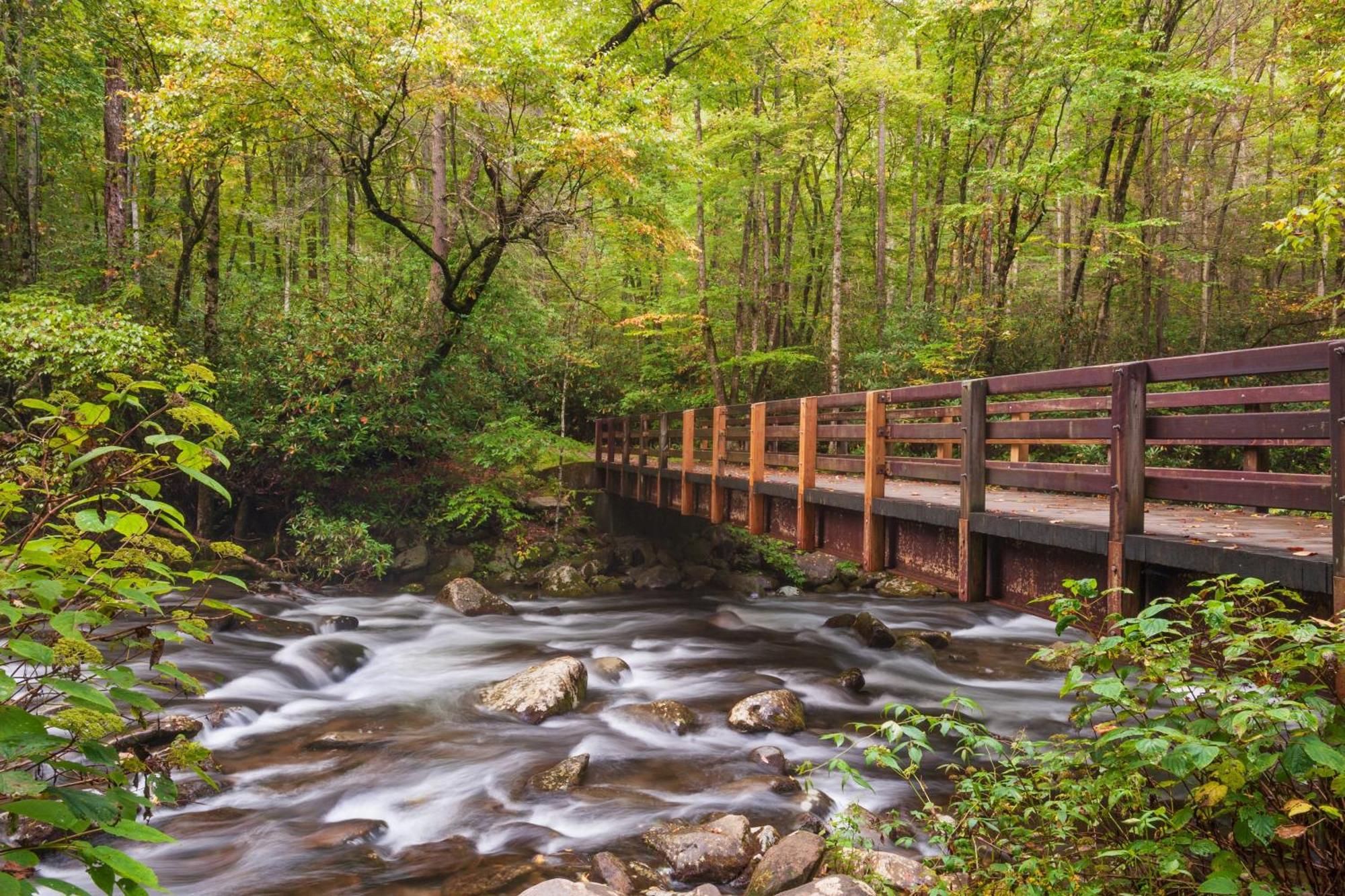 Smoky Mountain Gem Villa Gatlinburg Exteriör bild